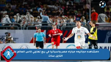 «مشاهدة مجانية» مباراة مصر وإسبانيا في ربع نهائي كأس العالم على النايل سات
